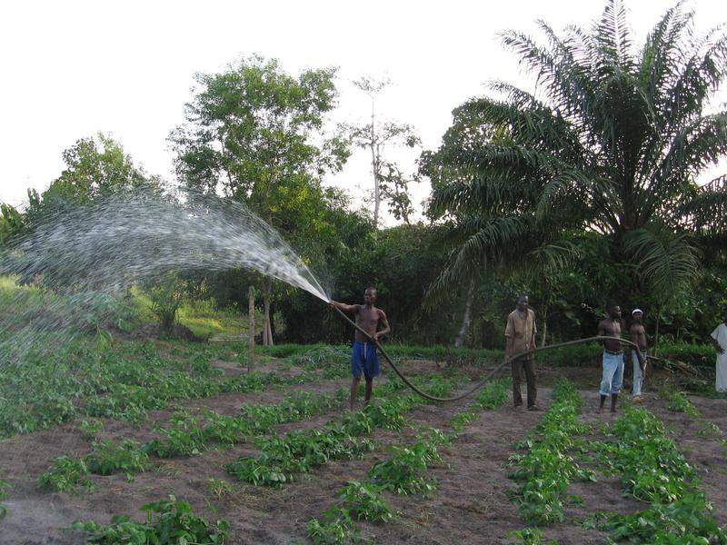 img-fishing-and-agriculture-project