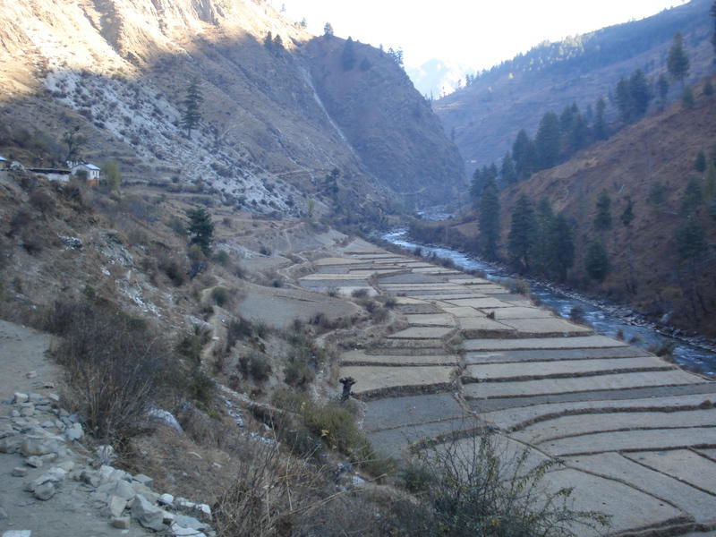 img-support-to-the-cooperatives-of-the-jumla-district