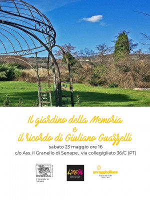 img-un-albero-per-giuliano-guazzelli