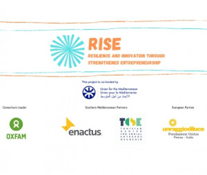 img-rise-resilience-and-innovation-through-strengthened-entrepreneurship-